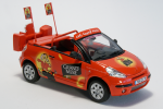 http://www.citronico.nl/wp-content/uploads/2013/08/c3_pluriel_grandmere_2_l.png
